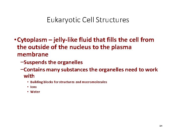 Eukaryotic Cell Structures • Cytoplasm – jelly-like fluid that fills the cell from the