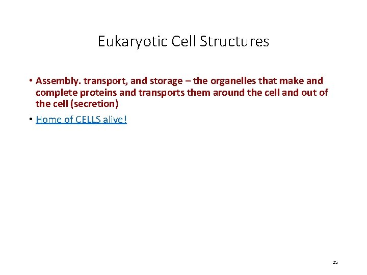 Eukaryotic Cell Structures • Assembly. transport, and storage – the organelles that make and