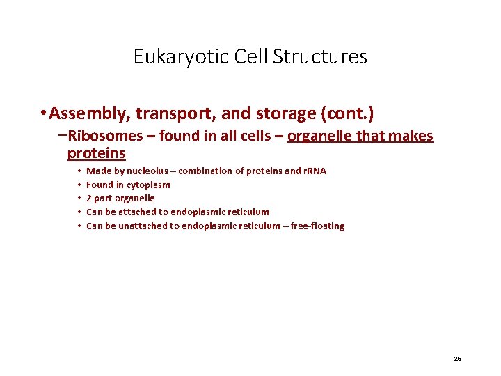 Eukaryotic Cell Structures • Assembly, transport, and storage (cont. ) –Ribosomes – found in