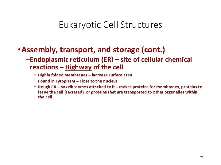 Eukaryotic Cell Structures • Assembly, transport, and storage (cont. ) –Endoplasmic reticulum (ER) –