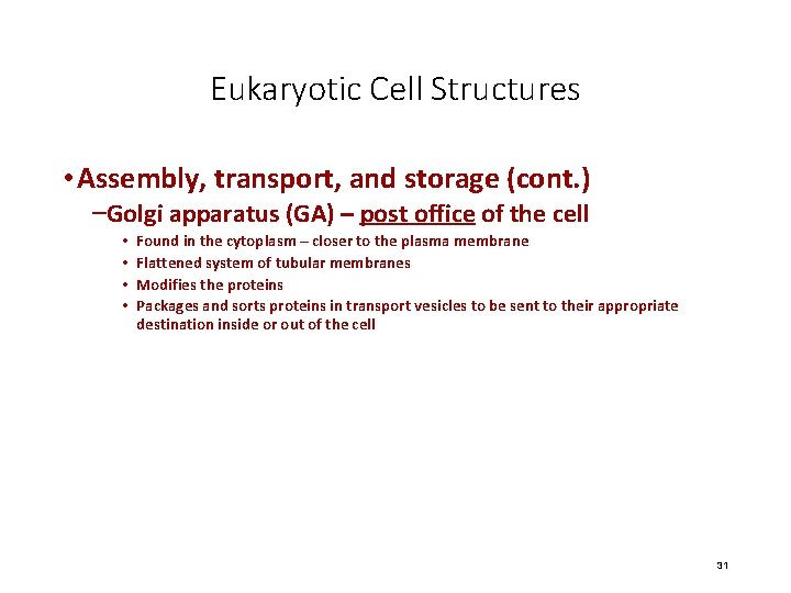 Eukaryotic Cell Structures • Assembly, transport, and storage (cont. ) –Golgi apparatus (GA) –