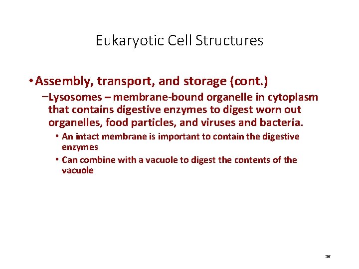 Eukaryotic Cell Structures • Assembly, transport, and storage (cont. ) –Lysosomes – membrane-bound organelle