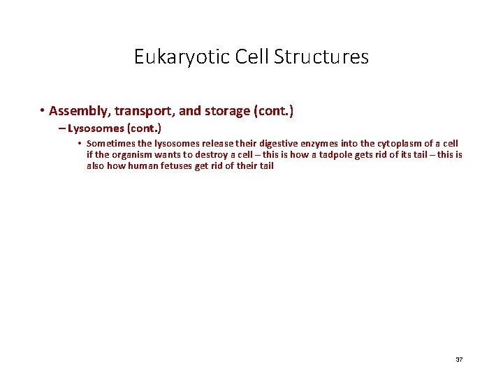 Eukaryotic Cell Structures • Assembly, transport, and storage (cont. ) – Lysosomes (cont. )