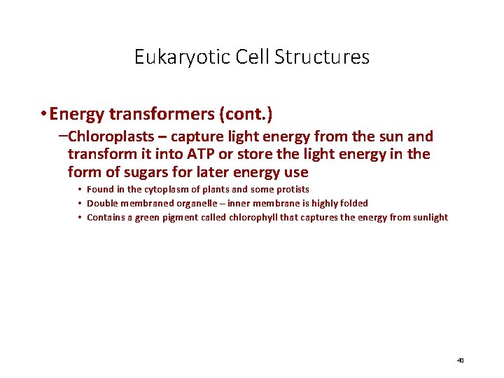 Eukaryotic Cell Structures • Energy transformers (cont. ) –Chloroplasts – capture light energy from