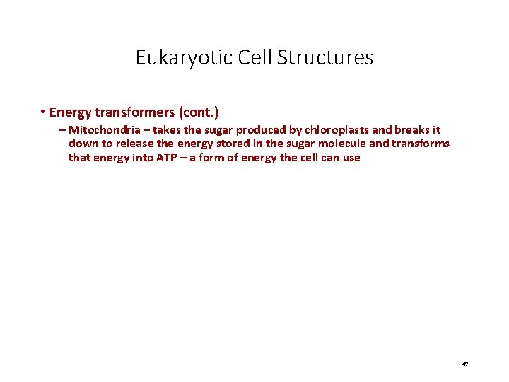 Eukaryotic Cell Structures • Energy transformers (cont. ) – Mitochondria – takes the sugar