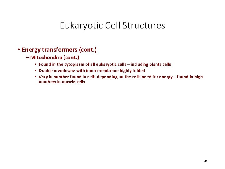 Eukaryotic Cell Structures • Energy transformers (cont. ) – Mitochondria (cont. ) • Found