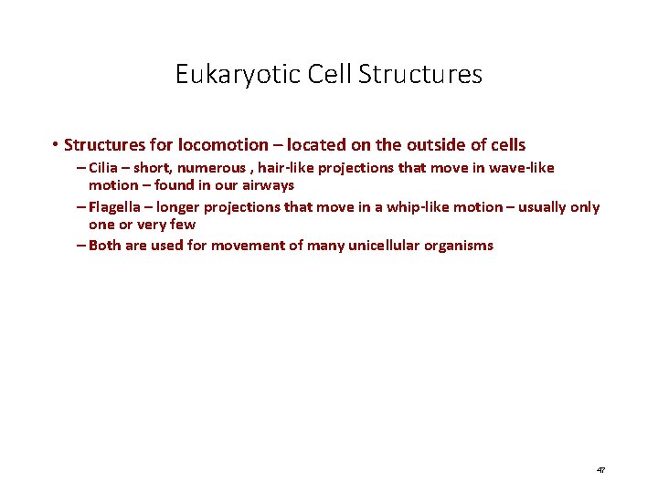 Eukaryotic Cell Structures • Structures for locomotion – located on the outside of cells