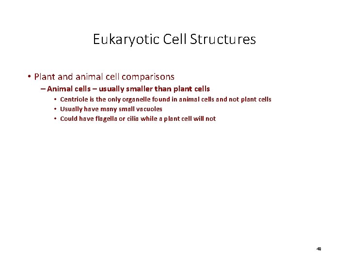 Eukaryotic Cell Structures • Plant and animal cell comparisons – Animal cells – usually