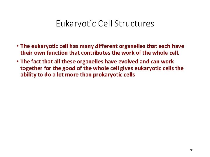 Eukaryotic Cell Structures • The eukaryotic cell has many different organelles that each have
