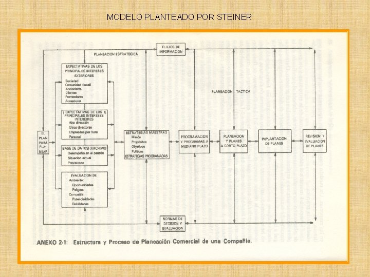 MODELO PLANTEADO POR STEINER 