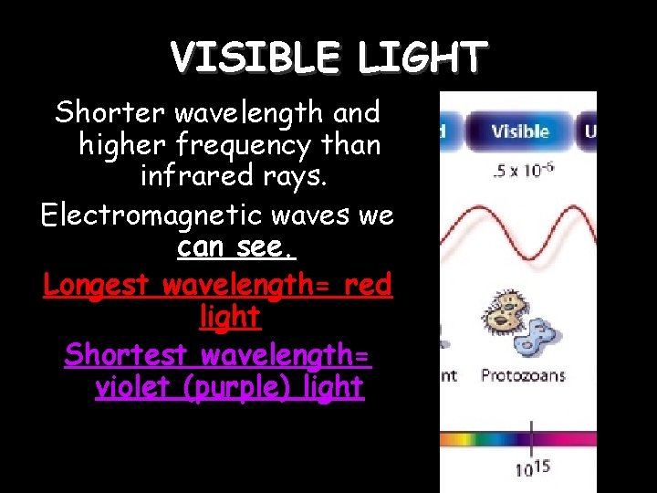 VISIBLE LIGHT Shorter wavelength and higher frequency than infrared rays. Electromagnetic waves we can