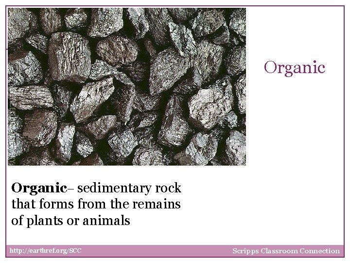 Orgaic Rocks Key Question What do you know about sedimentary
