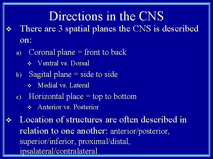 Directions in the CNS v There are 3 spatial planes the CNS is described