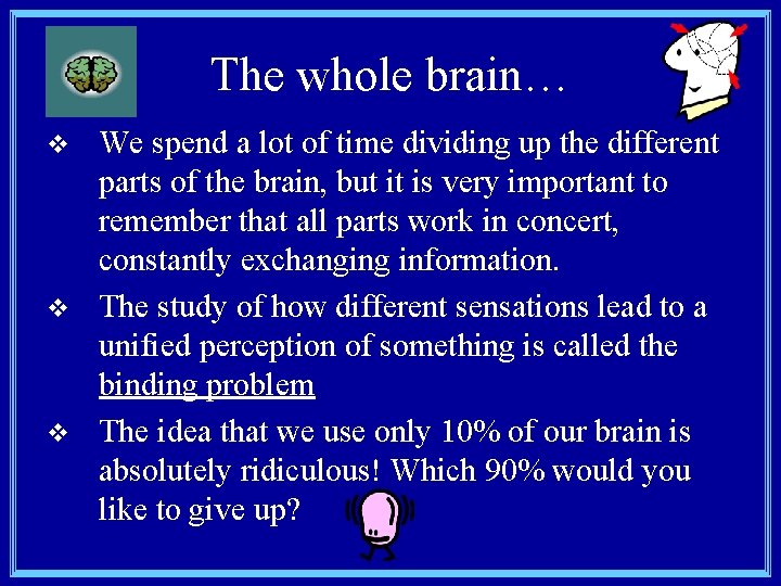 The whole brain… v v v We spend a lot of time dividing up