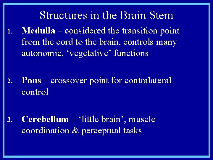 Structures in the Brain Stem 1. Medulla – considered the transition point from the