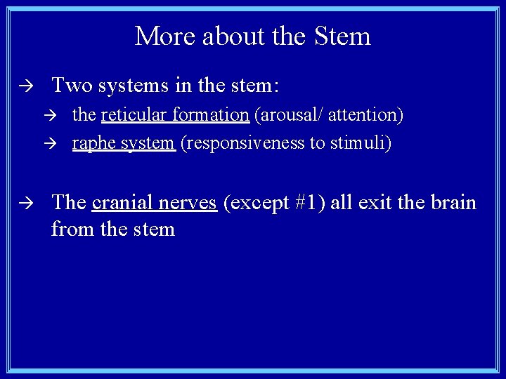 More about the Stem à Two systems in the stem: à à à the