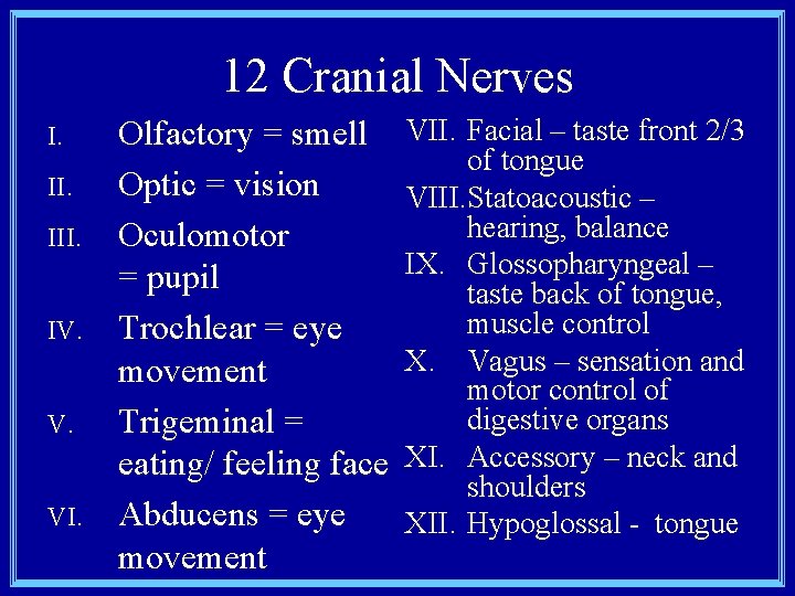 12 Cranial Nerves I. III. IV. V. VI. Olfactory = smell Optic = vision