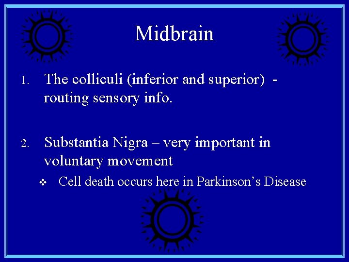 Midbrain 1. The colliculi (inferior and superior) routing sensory info. 2. Substantia Nigra –
