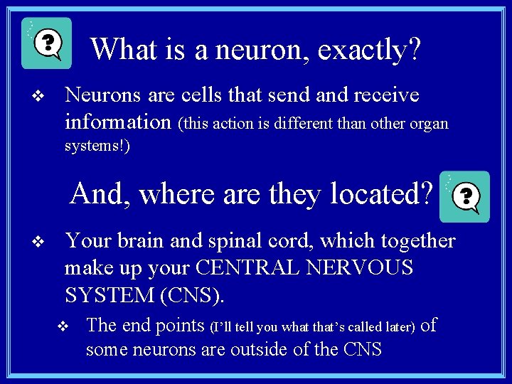 What is a neuron, exactly? v Neurons are cells that send and receive information