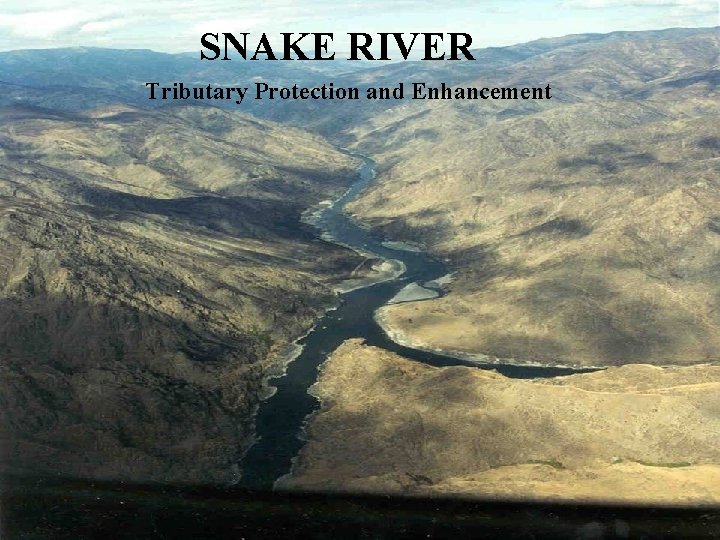 SNAKE RIVER Tributary Protection and Enhancement 