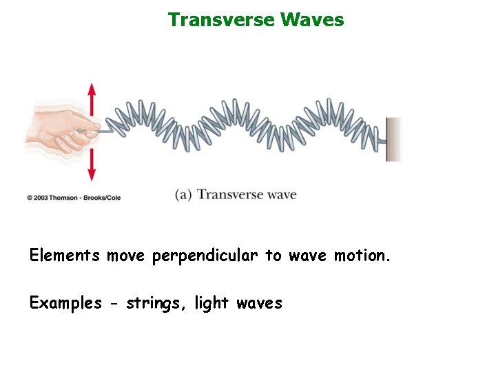 Transverse Waves Elements move perpendicular to wave motion. Examples - strings, light waves 