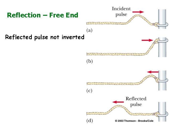 Reflection – Free End Reflected pulse not inverted 