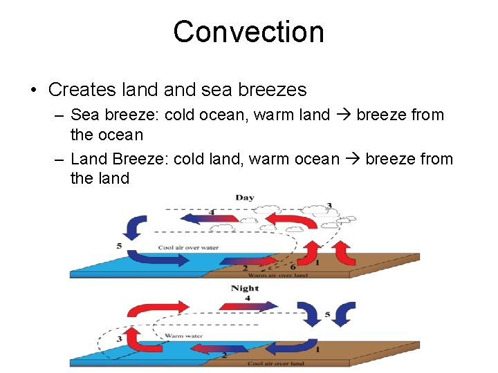 Convection • Creates land sea breezes – Sea breeze: cold ocean, warm land breeze