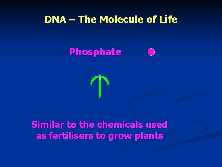 DNA – The Molecule of Life Phosphate Similar to the chemicals used as fertilisers
