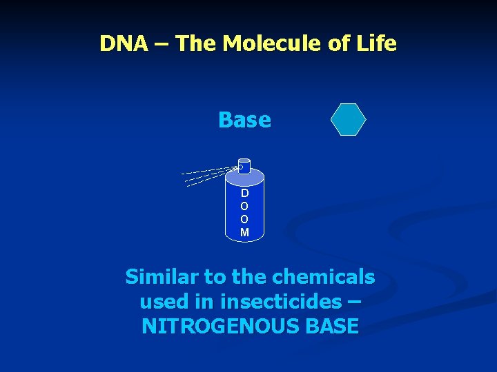 DNA – The Molecule of Life Base D O O M Similar to the