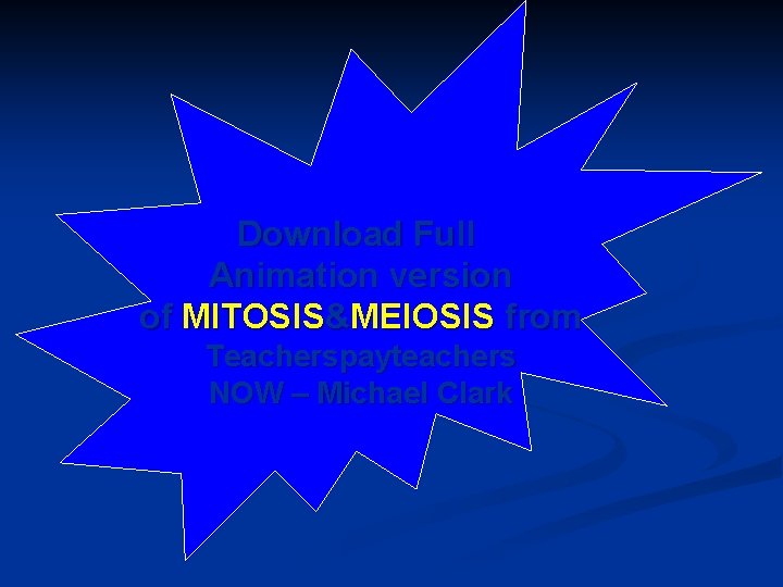 Download Full Animation version of MITOSIS&MEIOSIS from Teacherspayteachers NOW – Michael Clark 