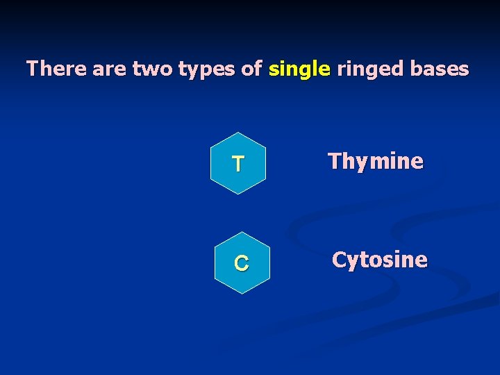 There are two types of single ringed bases T Thymine C Cytosine 