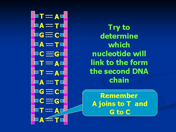 T A G A C T T A G C T A A T