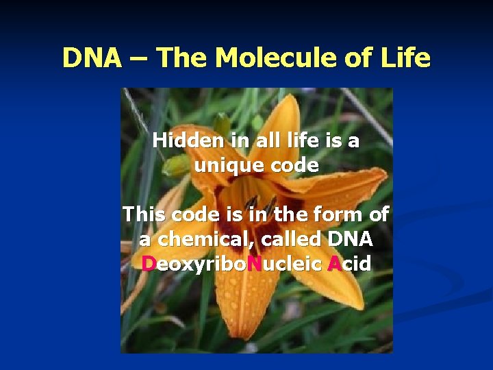DNA – The Molecule of Life Hidden in all life is a unique code