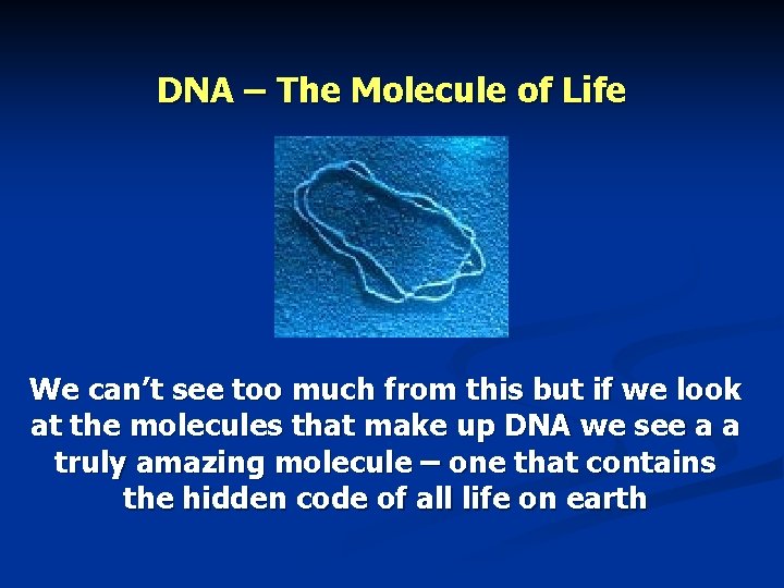 DNA – The Molecule of Life We can’t see too much from this but