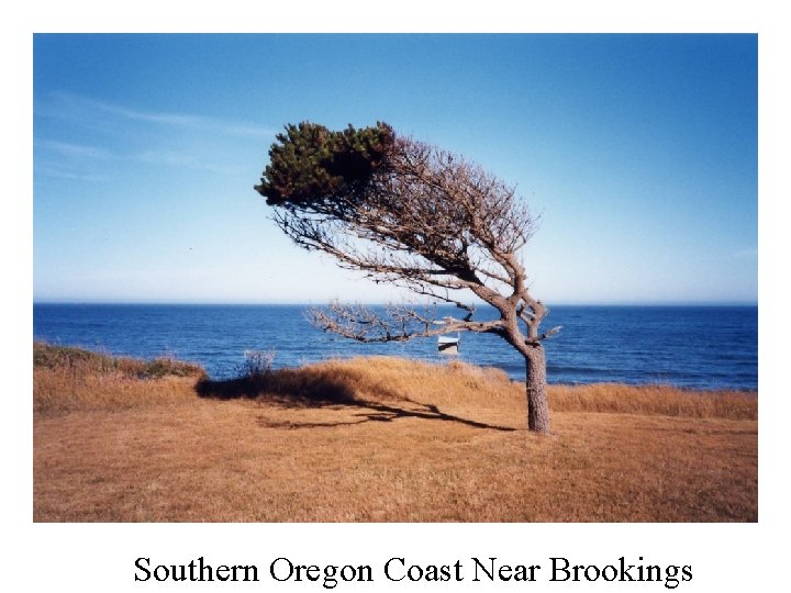 Southern Oregon Coast Near Brookings 