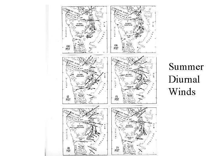 Summer Diurnal Winds 