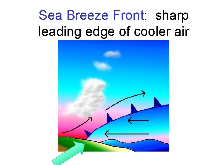 Sea Breeze Front: sharp leading edge of cooler air 