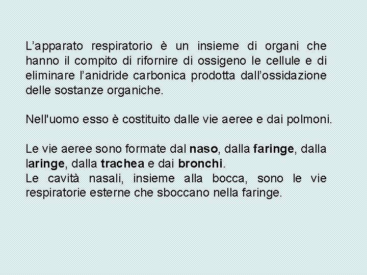 L’apparato respiratorio è un insieme di organi che hanno il compito di rifornire di