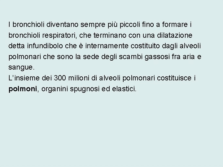 I bronchioli diventano sempre più piccoli fino a formare i bronchioli respiratori, che terminano