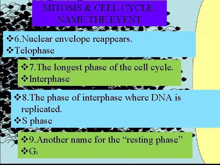 MITOSIS & CELL CYCLE: NAME THE EVENT v 6. Nuclear envelope reappears. v. Telophase MITOSIS & CELL CYCLE: NAME THE EVENT v 6. Nuclear envelope reappears. v. Telophase
