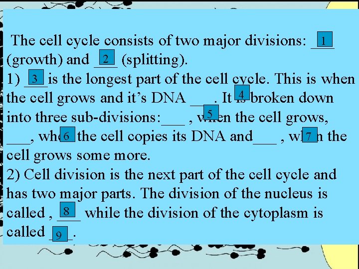 1 The cell cycle consists of two major divisions: ___ 2 (splitting). (growth) and 1 The cell cycle consists of two major divisions: ___ 2 (splitting). (growth) and
