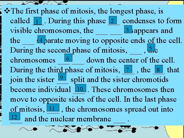 v. The first phase of mitosis, the longest phase, is 2 condenses to form v. The first phase of mitosis, the longest phase, is 2 condenses to form