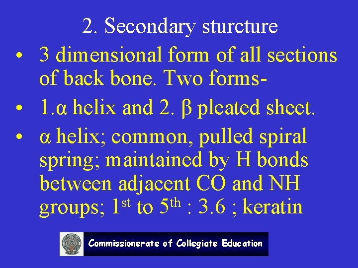 2. Secondary sturcture • 3 dimensional form of all sections of back bone. Two