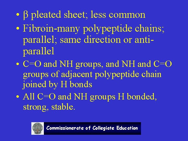  • β pleated sheet; less common • Fibroin-many polypeptide chains; parallel; same direction