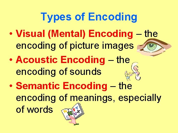 Types of Encoding • Visual (Mental) Encoding – the encoding of picture images •