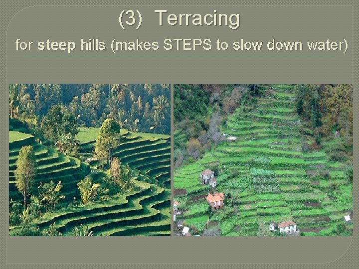 (3) Terracing for steep hills (makes STEPS to slow down water) 