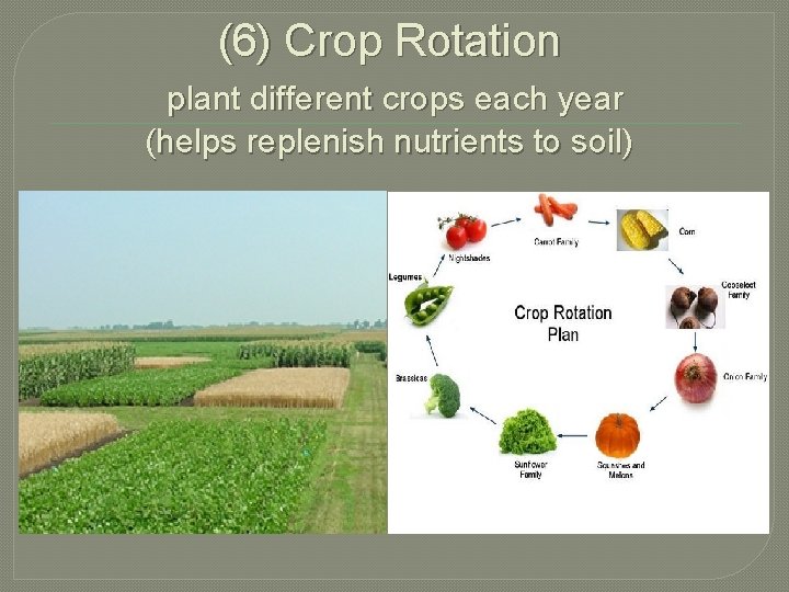 (6) Crop Rotation plant different crops each year (helps replenish nutrients to soil) 