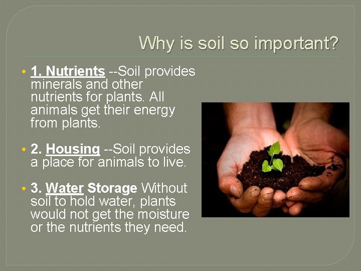 Why is soil so important? • 1. Nutrients --Soil provides minerals and other nutrients