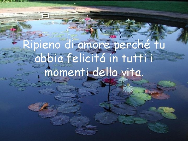 Ripieno di amore perché tu abbia felicitá in tutti i momenti della vita. 