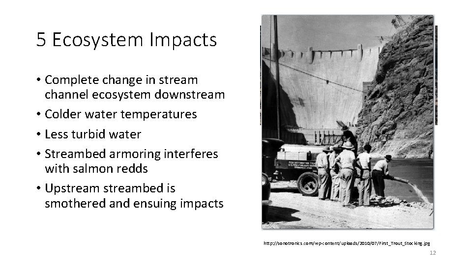 5 Ecosystem Impacts • Complete change in stream channel ecosystem downstream • Colder water